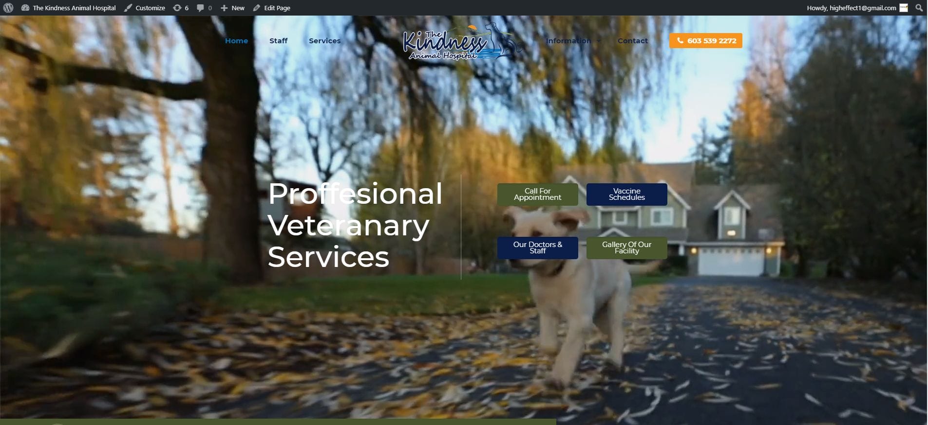 The Kindness Animal Hospital – The Kindness Animal Hospital